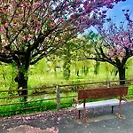 בית הארחה Les Ambiances Du Coly Condat-sur-Vezere