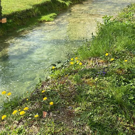 Les Ambiances Du Coly בית הארחה 3*