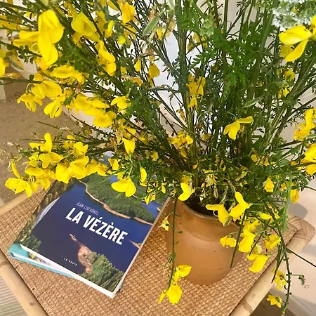Les Ambiances Du Coly