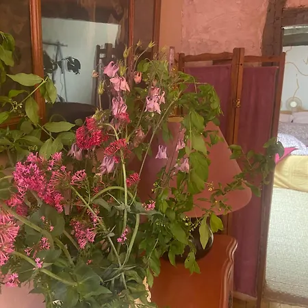 בית הארחה Les Ambiances Du Coly