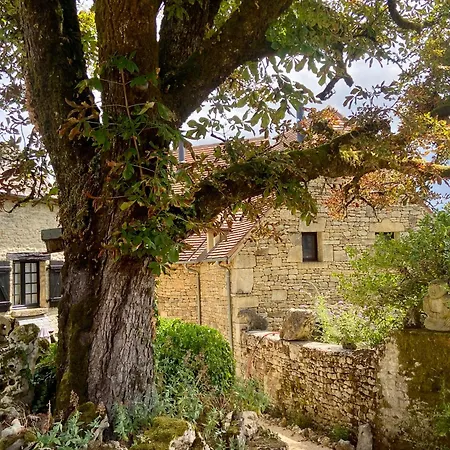 Les Ambiances Du Coly 3*
